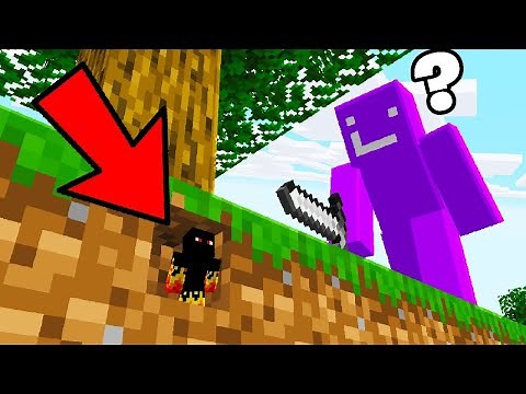 Using TINY MOD To Prank My Friend in Minecraft!