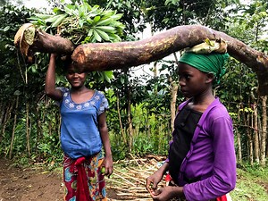 Where water management meets climate change adaptation to boost resilience