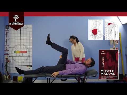 Muscle Testing - What you need to know - Dr Chung Dr Vizniak
