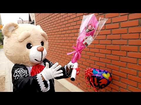 OSITO SORPRENDE A CUMPLEAÑERA CON ROSAS Y DESAYUNO EN SURCO