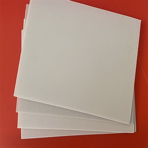 [Hot Item] Corona Treatment PP Corrugated Sheet Correx Board for Advertising Printing