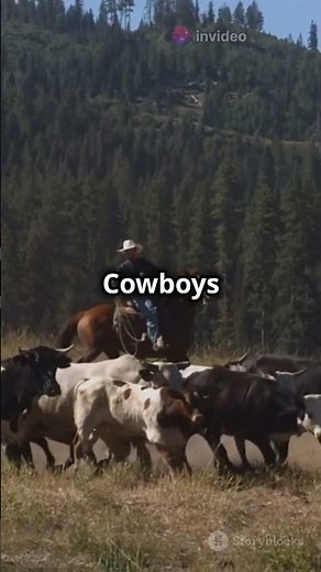 The Wild West:History of Cowboys