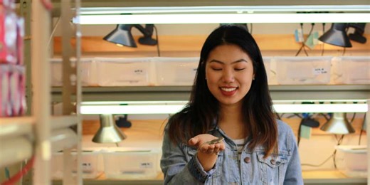 Course guide: Graduate coursework degrees