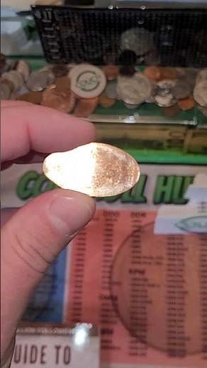 Find Valuable Coins with this Coin Collecting Book! #rarecoins