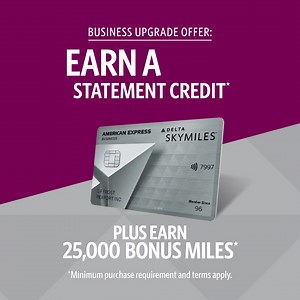 Business Owners: You can earn a $250 statement credit and earn 25,000 bonus miles after you upgrade to the Delta SkyMiles® Platinum Business American Express Card. Terms apply. | Delta Air Lines | Facebook