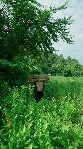 Discover the fascinating step-by-step process of traditional paper-making, from raw materials to the finished product. Watch as ancient techniques meet modern craftsmanship to create this essential everyday item! | Across Asia