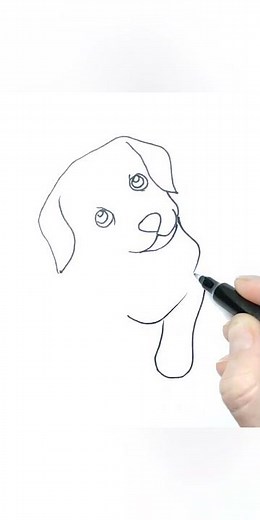 How to draw a puppy Labrador