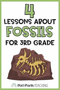 4 Lessons About Fossils for 3rd Grade — Poet Prints Teaching