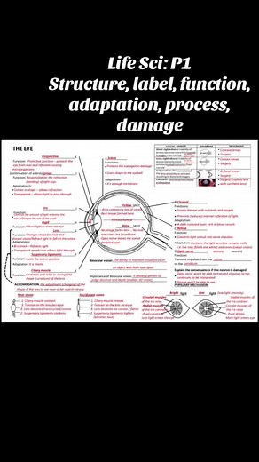 Grade 12 Life Sciences Paper 1 Exam Prep