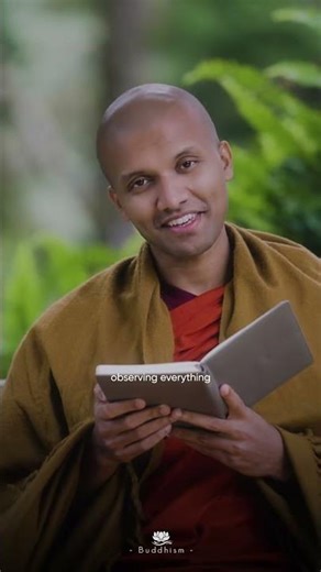 Learn the art of observing