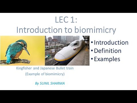 Lec 1 - Introduction to Biomimicry:: WHAT IS BIOMIMICRY::LESSONS FROM NATURE
