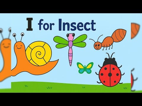 How to Draw Insects Step by Step | Drawing for Beginners