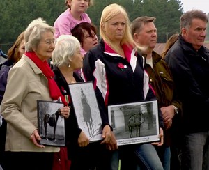 Bess the horse Great War Story