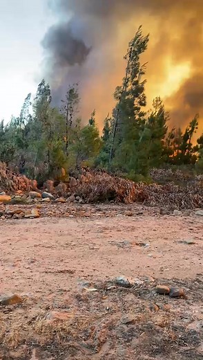 34K views · 186 reactions | Emergency callout! Lewis Fire Team A has been deployed to Wolseley to tackle the wildfire and safeguard our community. Let’s support our brave firefighters as they work tirelessly to protect the area!  #LewisFireTeamA #WildfireFighting #CommunitySupport #BraveryInAction #Wolseley #NCC #WitzenbergMunicipality | Lewis Bush Clearing and Alien Firefighting | Facebook