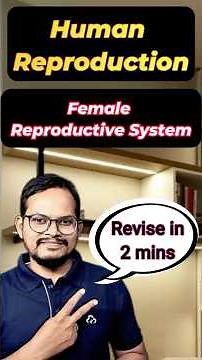Female Reproductive System in 2 Mins | Human Reproduction NEET 2025 Quick Revision 💯