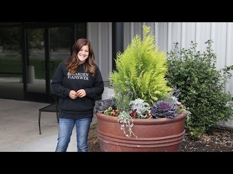 Planting Large Containers