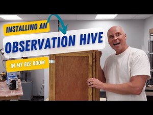 Step by Step Ultimate Guide to Installing a Bee Observation Hive