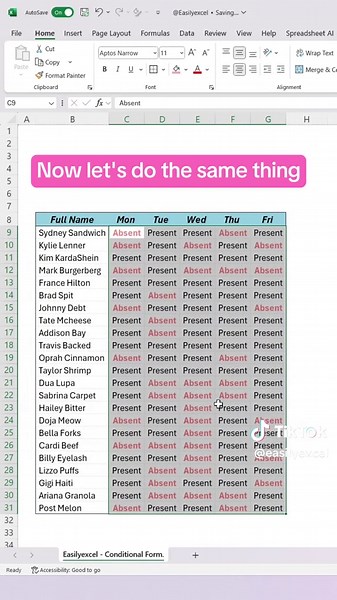 easilyexcel su TikTok