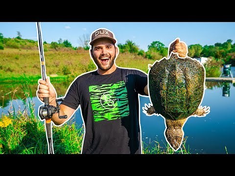 Giant SNAPPING TURTLE Catch Clean Cook!!! (BACKYARD POND)