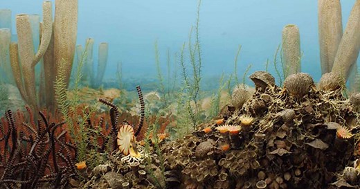 Six Extinctions, Viewed Through the Museum's Collections | AMNH