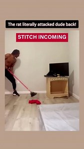 38 reactions | TERRIBLE Rodent Problem!  Don’t let this happen to YOU. Follow for expert pest control tips that ACTUALLY work! #pestcontrol #pesttraps #pestprevention #gluetraps #pestsolutions #rodent #mouse #rat #pestfree | Catchmaster | Facebook