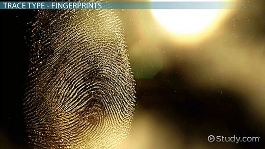 Trace Evidence | Definition, Types & Examples