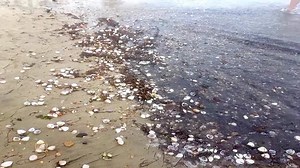 34K views · 741 reactions | Ndiqni këtë video mesazh... Na drejtohet të gjithëve, se cfarë do të lëmë pas, për brezat e ardhshëm... Ju lutemi shpërndajeni sa më shumë! Zgjohu Shqiptar | Vlora | Facebook