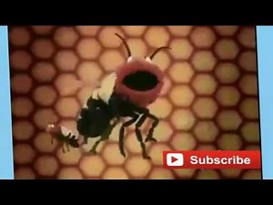 Elmo's World Full Episodes *** Bugs