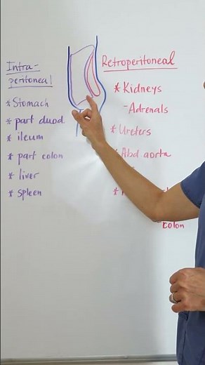 Intraperitoneal Space #nursingschoolclinicals #anatomyandphysiology #nursingstudent