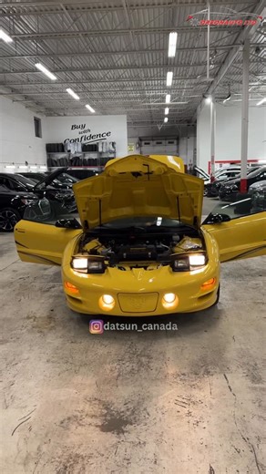 OREONAUTO LTD 🇨🇦 on Instagram: "*🔥💛 2002 Pontiac Trans Am Collector Edition – A True American Legend 💛🔥* *📍 Mileage:* *38.000 km only* *⚙️ Transmission:* *automatic* *🎨 Exterior:* *Sunfire Yellow* *🛋️ Interior:* *Ebony Leather with Collector Edition Embroidery* *🛞 Drivetrain:* *Rear-Wheel Drive (RWD)* *🌟 T-Top* *💪 Engine:* *5.7L LS1 V8 – 325 Hp* *🛠️ Suspension:* *WS6 Specific Tuned* *🛑 Brakes:* *Power Disc Brakes – Reliable & Responsive* *🔧Power rack-and pinion steering* *🎶 Audio
