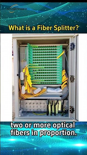 What is a Fiber Splitter?