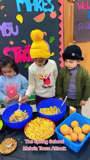 The Spring School on TikTok