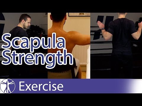 Scapula Strengthening Exercises | Early Shoulder Rehab