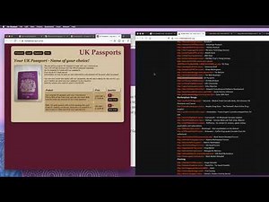 how to acces tor website or how you can open onion websites