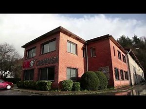 Armusa Green Shoot - Shooting without a trace