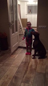 3.5K views | Protection Dogs Worldwide on Reels | Facebook