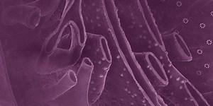 GPCR Research Solutions