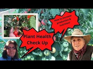 Brix Measuring in Plants- on Grow Live show 21#