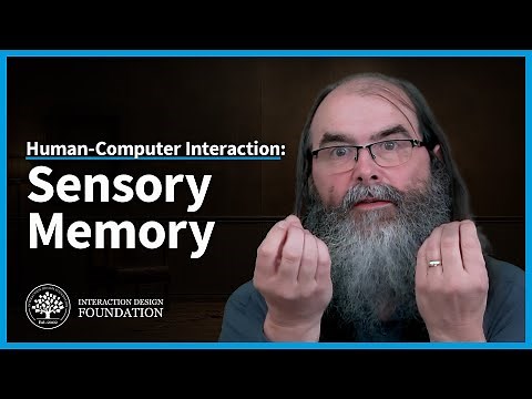 What is Sensory Memory and How Does it Work. Human Memory in HCI