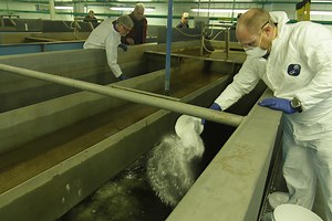 Water Filtration Media: How it Works and How To Maintain it