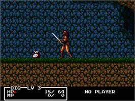 Cadash - Sega Genesis - Games Database