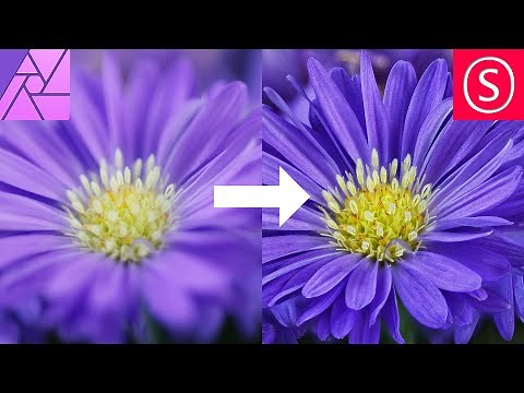 Focus Stacking / Focus Merging in Affinity Photo // How to - Beginner Tutorial