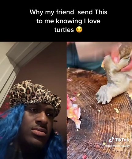 Turtle Cooking Preparation and Process Explained