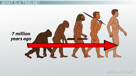 How to Read Timelines