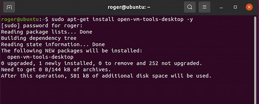 How to Install VMWare Tools on Ubuntu 20.04 » Roger Perkin