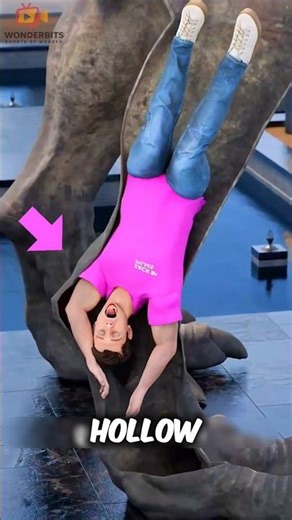 The Dinosaur Statue Mystery That Shocked an Entire Town‼️😨