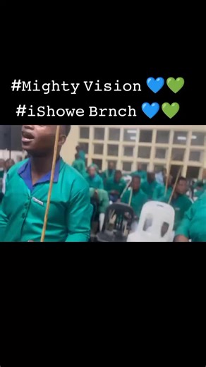 Understanding Mighty Vision and Its Impact