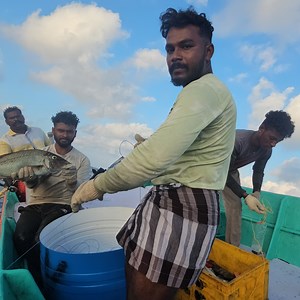 774K views · 9.9K reactions | Wow⁉️ catching emperfish | blubberlip fish on the sea | Thiruchendur Meenavan | Facebook