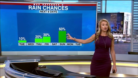 News Channel 8 Today at 4:30