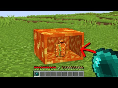 Minecraft, But You Can Go Inside Anything...